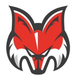 Bolzano-Bozen Foxes 2016-Pres Secondary Logo iron on transfers for clothing
